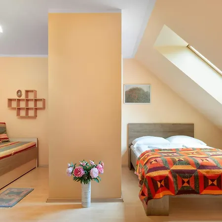 Two-level With Parking Near Downtown By Renters カルパッチ